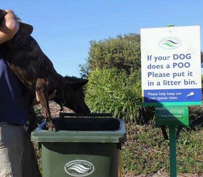 Dog poo